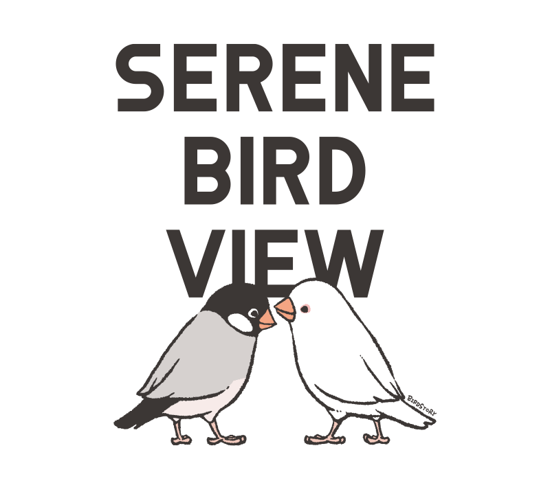SERENE BIRD VIEW 穏やかな光景