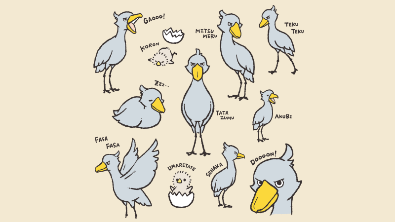 ハシビロコウ 仕草イラスト