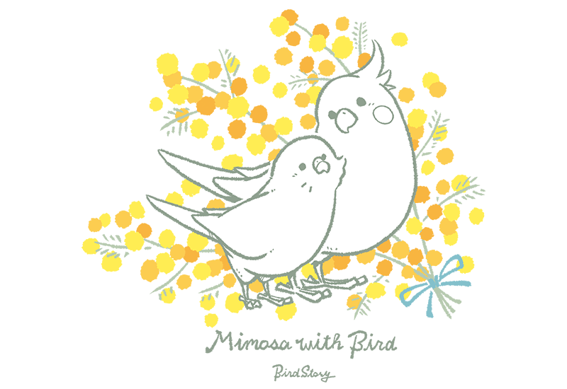 Mimosa with Bird