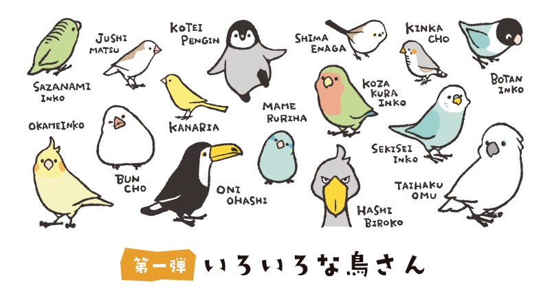 オカメインコや文鳥の図鑑風デザイン