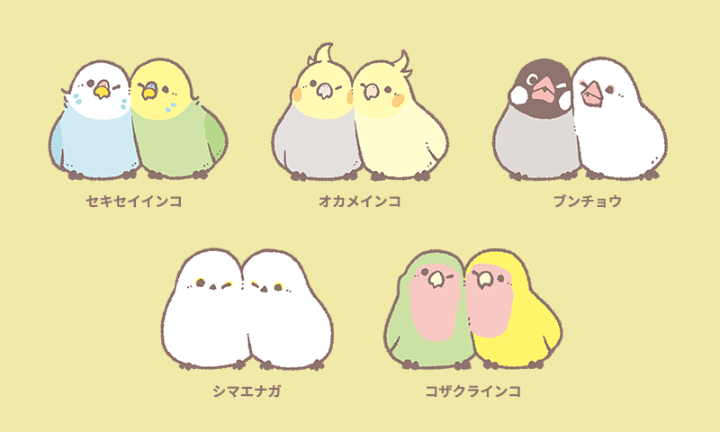 セキセイインコや文鳥など