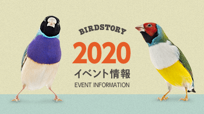 デザインフェスタや鳥フェスなどイベント情報2020年