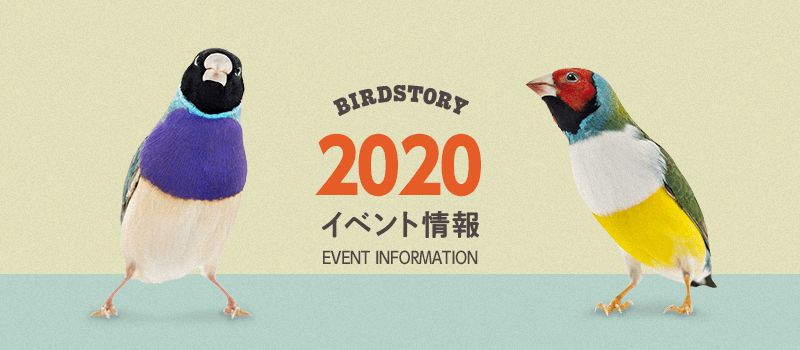 イベント情報2020年 BIRDSTORY