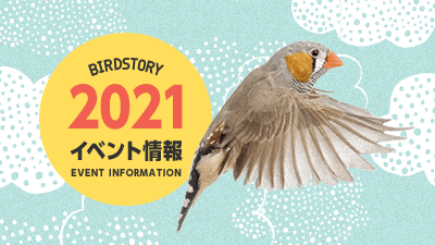 デザインフェスタや鳥フェスなど2021年イベント催事情報