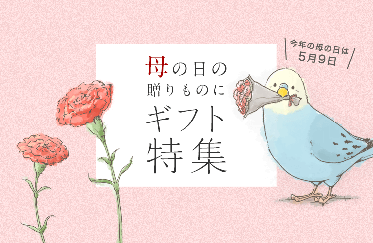 Birdstory セキセイインコや文鳥など鳥さんオリジナル雑貨グッズのネットショップ