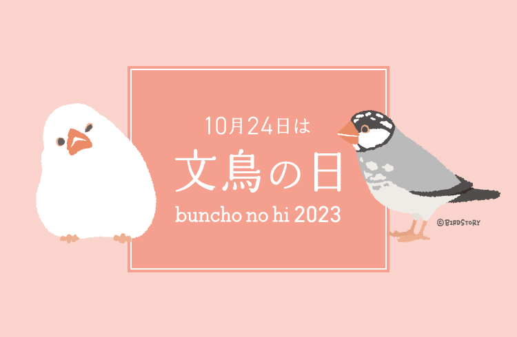 BIRDSTORY セキセイインコや文鳥など鳥さんオリジナル雑貨グッズの