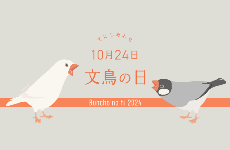 手に幸せの握り文鳥