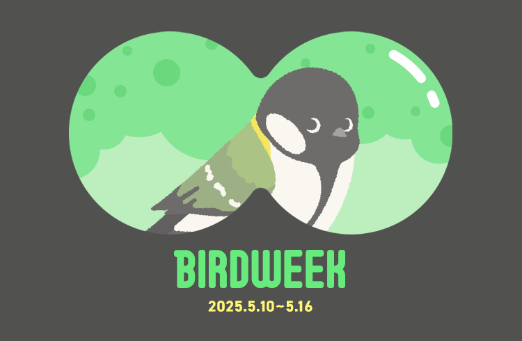 2025年の愛鳥週間