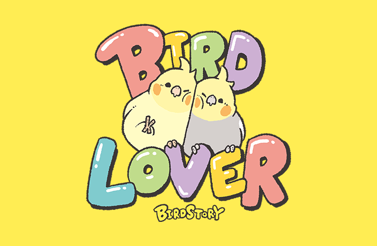 新品 BIRD STORY インコ用 ステンレスキャリー BIRDSTORY セキセイインコや文鳥など鳥さんオリジナル雑貨グッズ