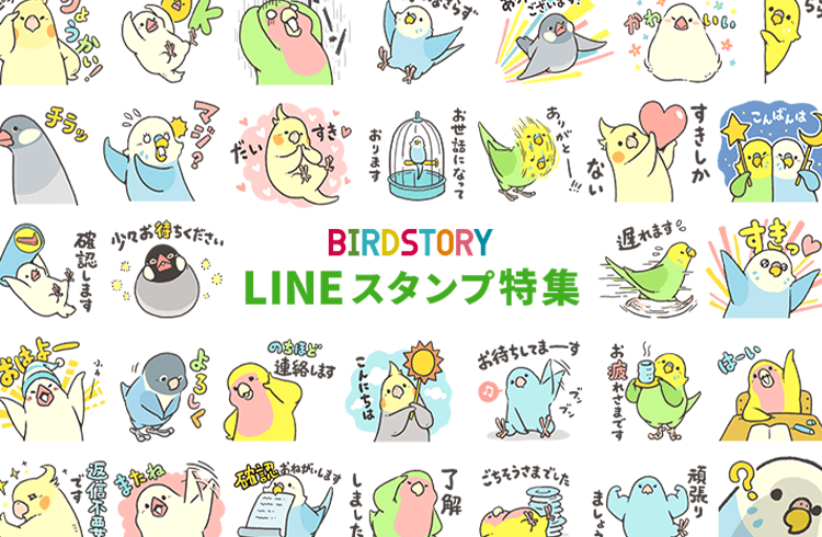 セキセイインコやブンチョウのLINEスタンプ特集