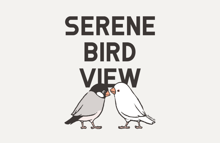 BIRDSTORY セキセイインコや文鳥など鳥さんオリジナル雑貨グッズ