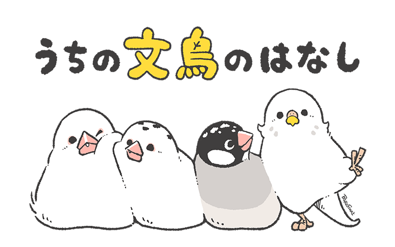 うちの文鳥のはなし