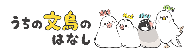 うちの文鳥のはなし