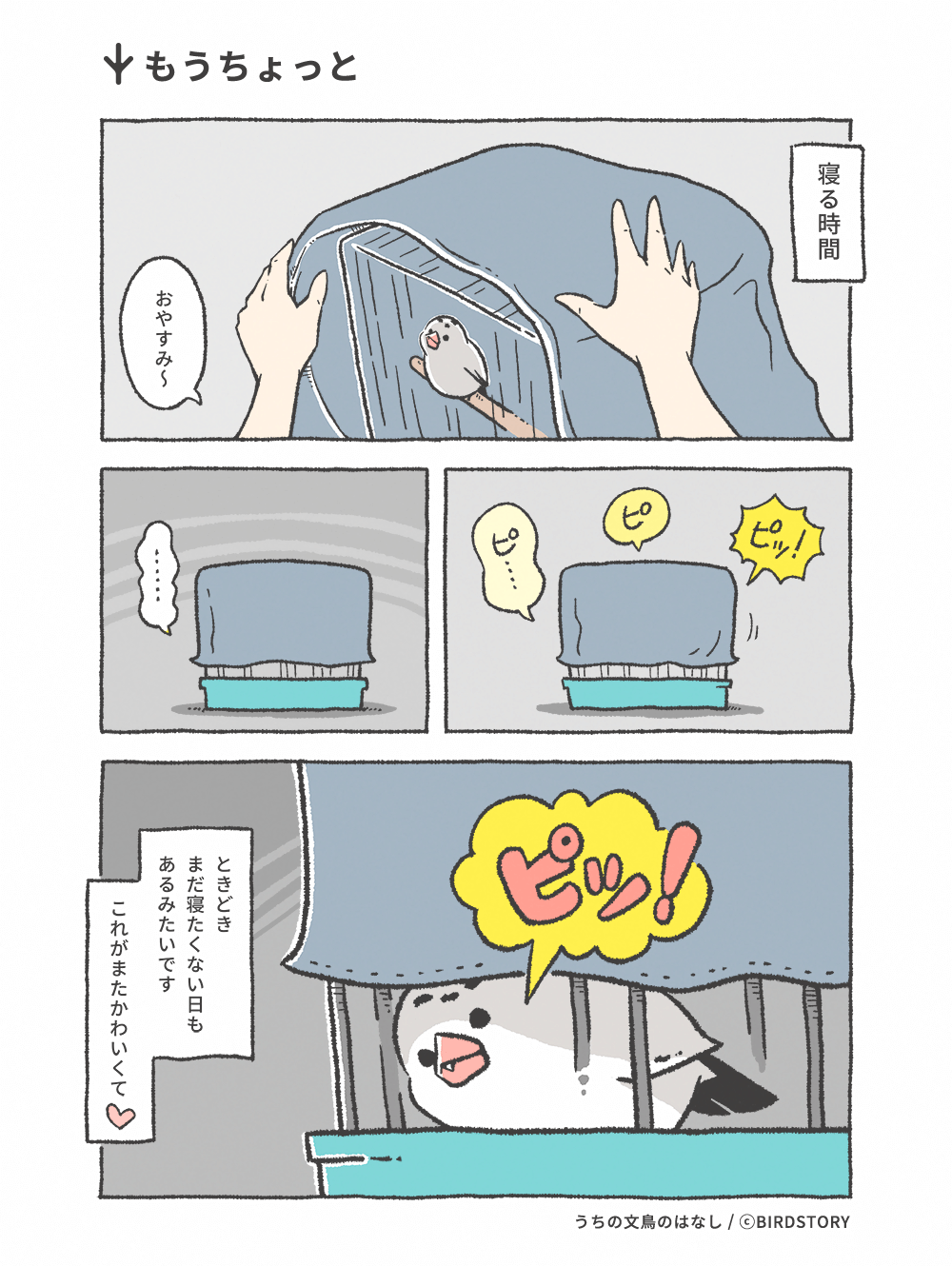 うちの文鳥のはなし 第2羽 もうちょっと