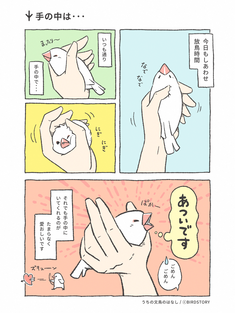 うちの文鳥のはなし 第4羽 手の中は･･･