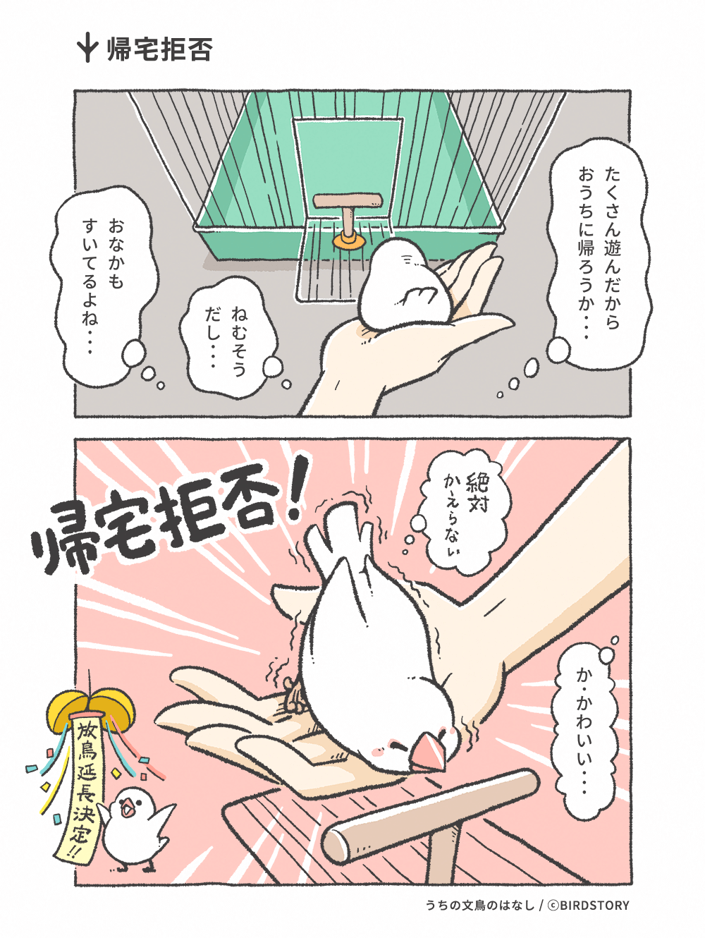 うちの文鳥のはなし 第7羽 帰宅拒否