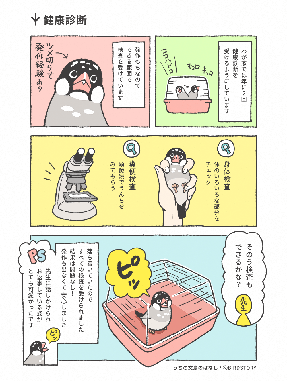 うちの文鳥のはなし 第8羽 健康診断