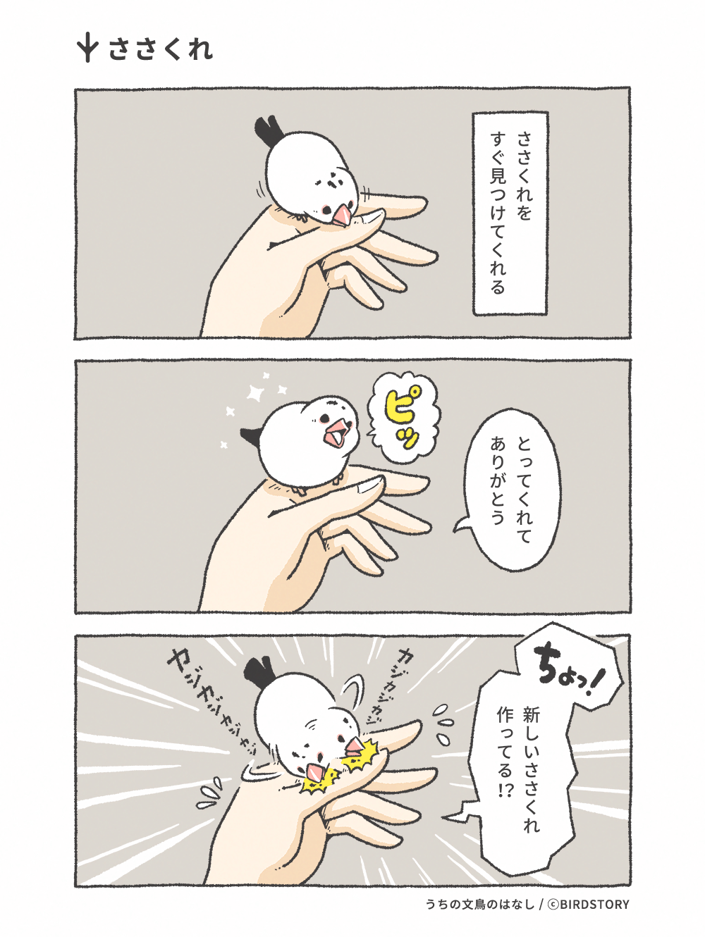 うちの文鳥のはなし 第9羽 ささくれ