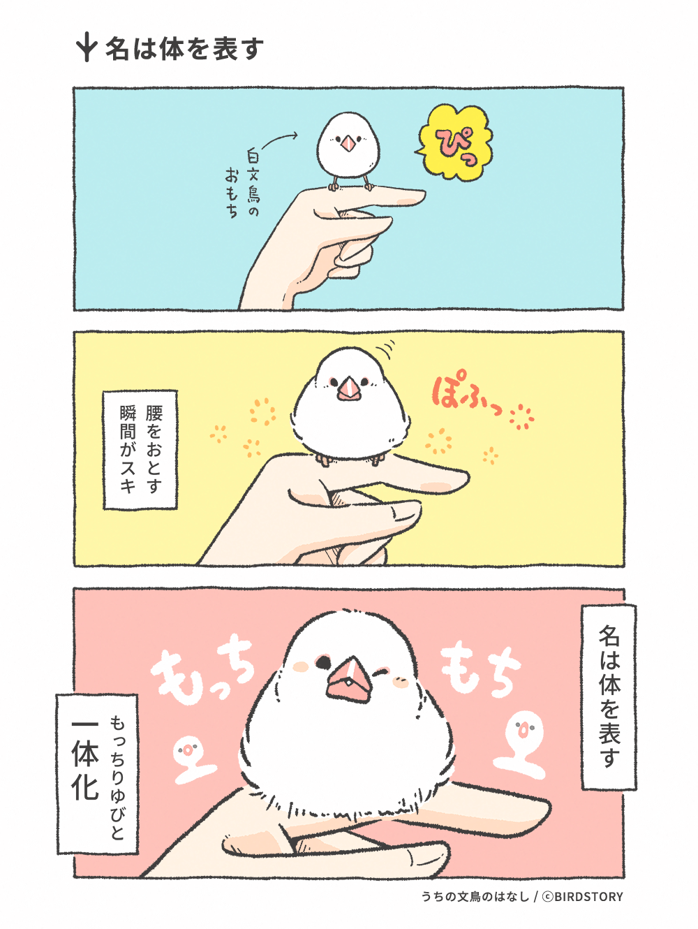 うちの文鳥のはなし 第13羽 名は体を表す