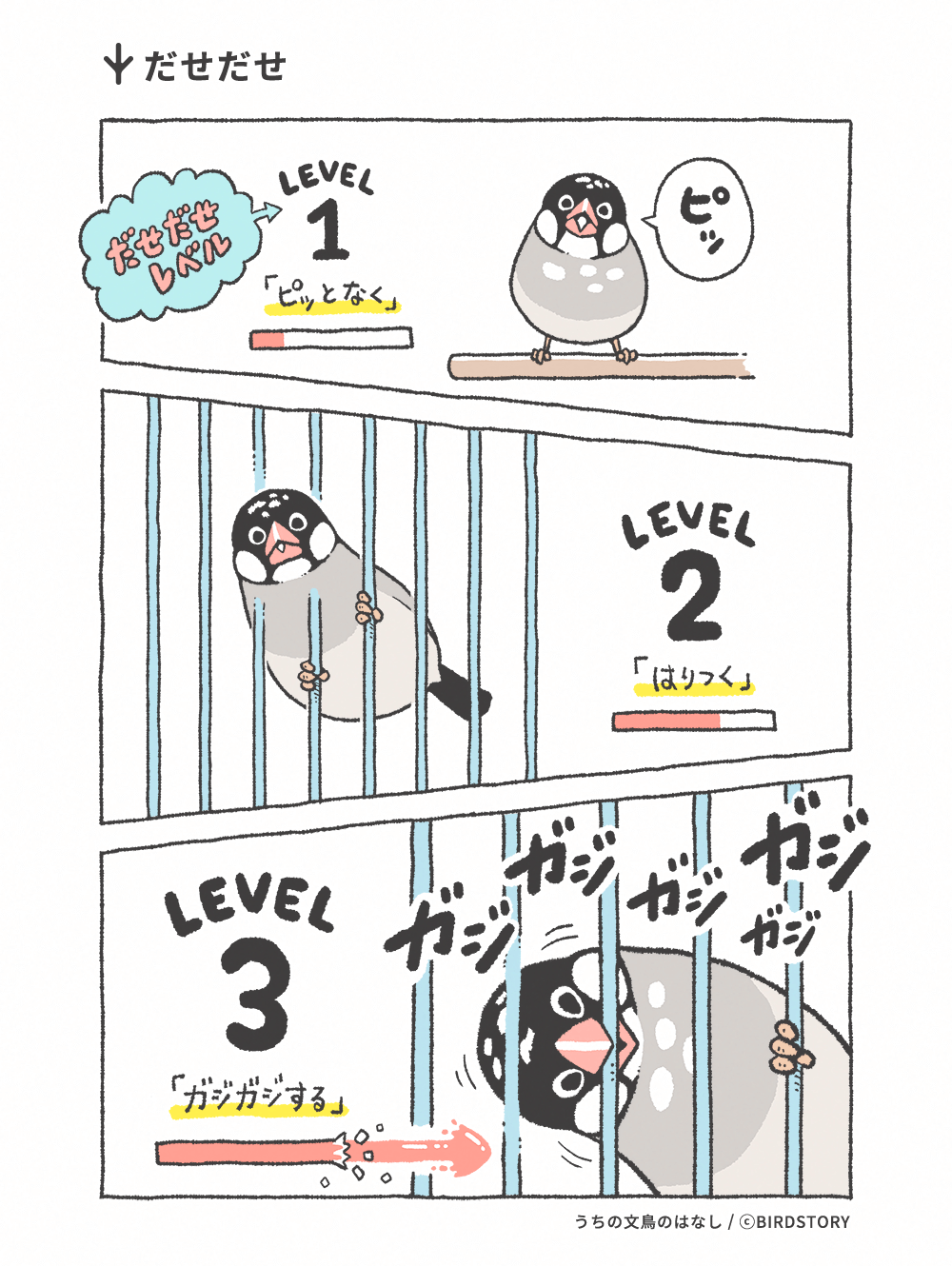 うちの文鳥のはなし 第14羽 だせだせ