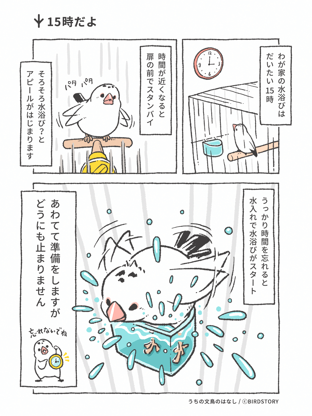 うちの文鳥のはなし 第16羽 15時だよ