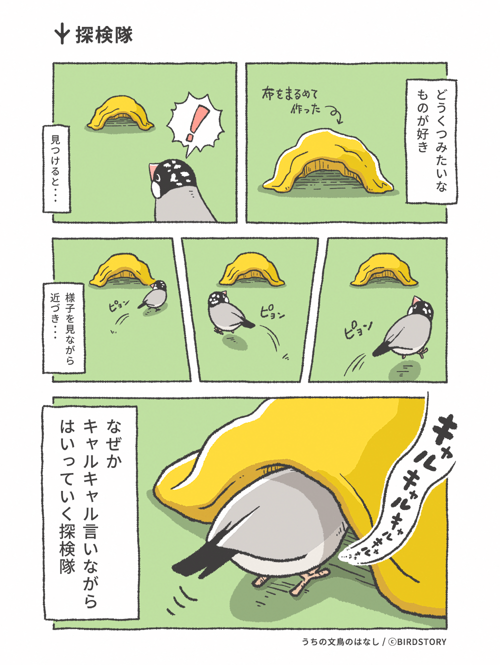 うちの文鳥のはなし 第17羽 探検隊