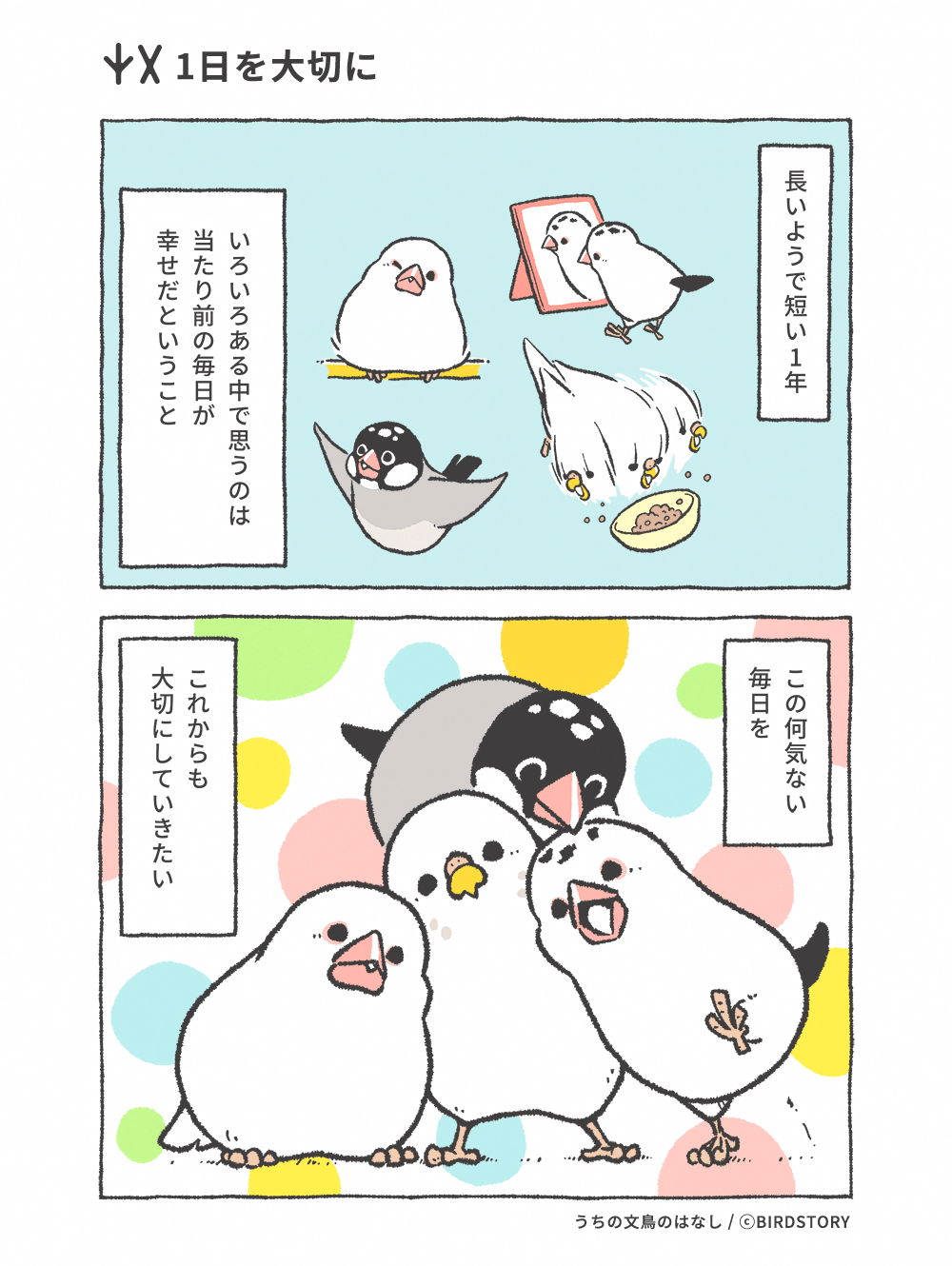 うちの文鳥のはなし 第20羽 1日を大切に