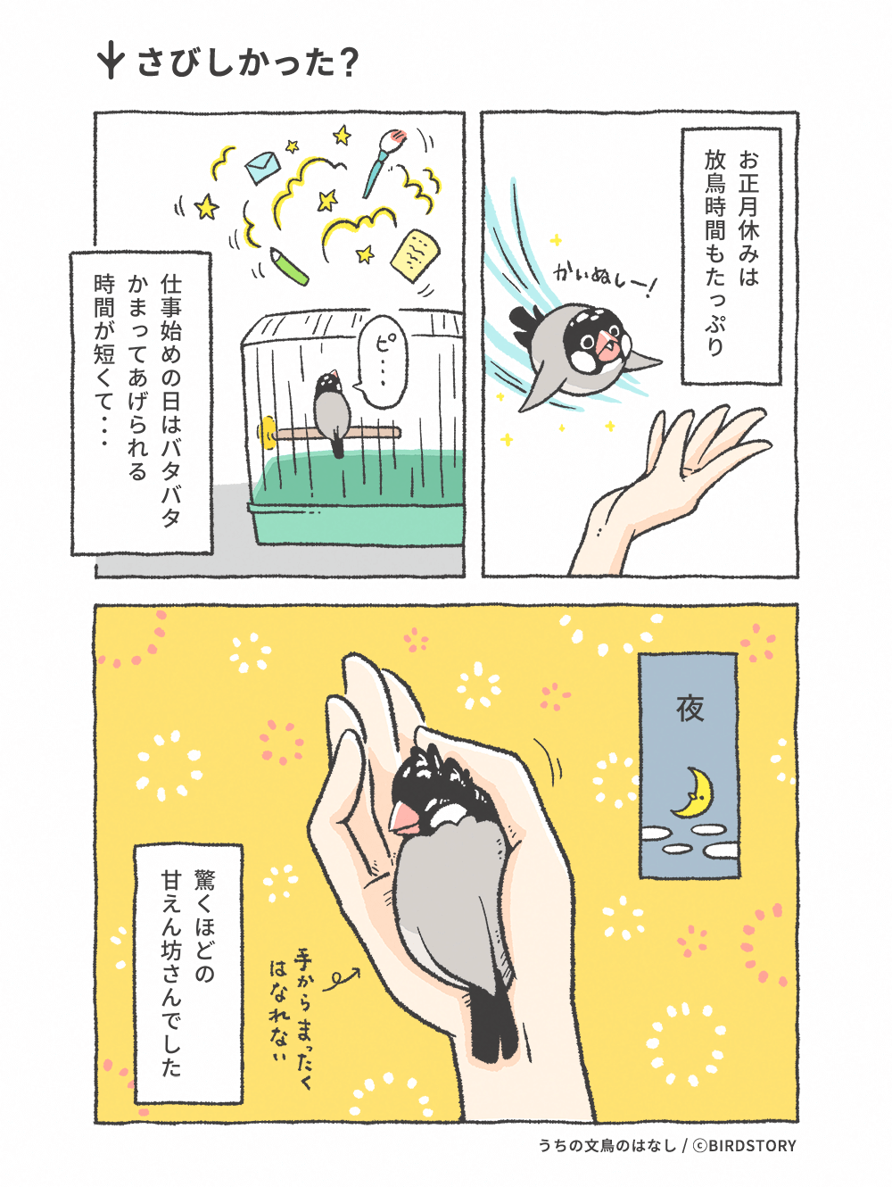 うちの文鳥のはなし 第21羽 さびしかった？
