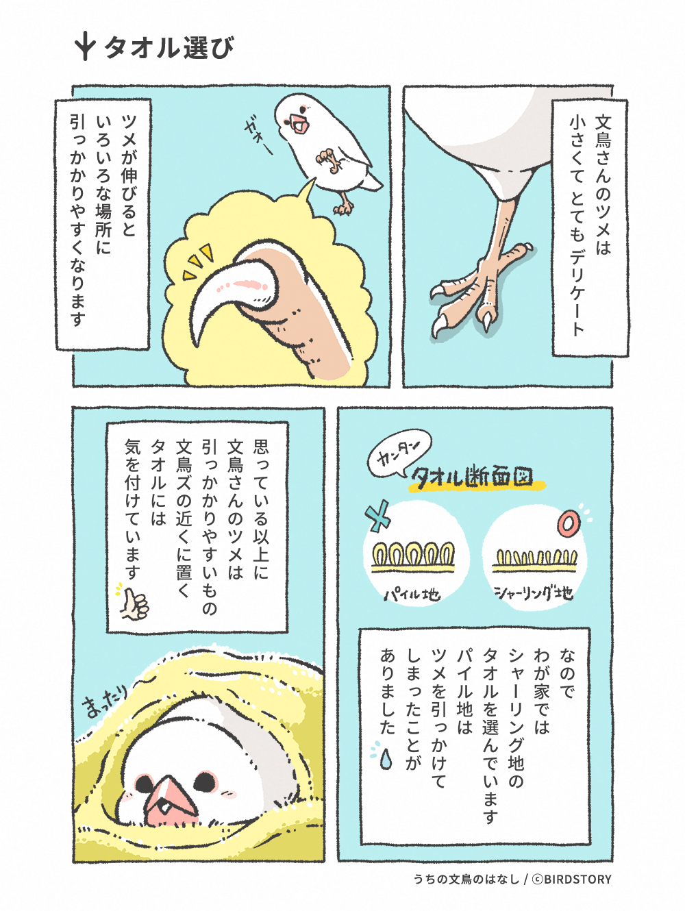 うちの文鳥のはなし 第22羽 タオル選び