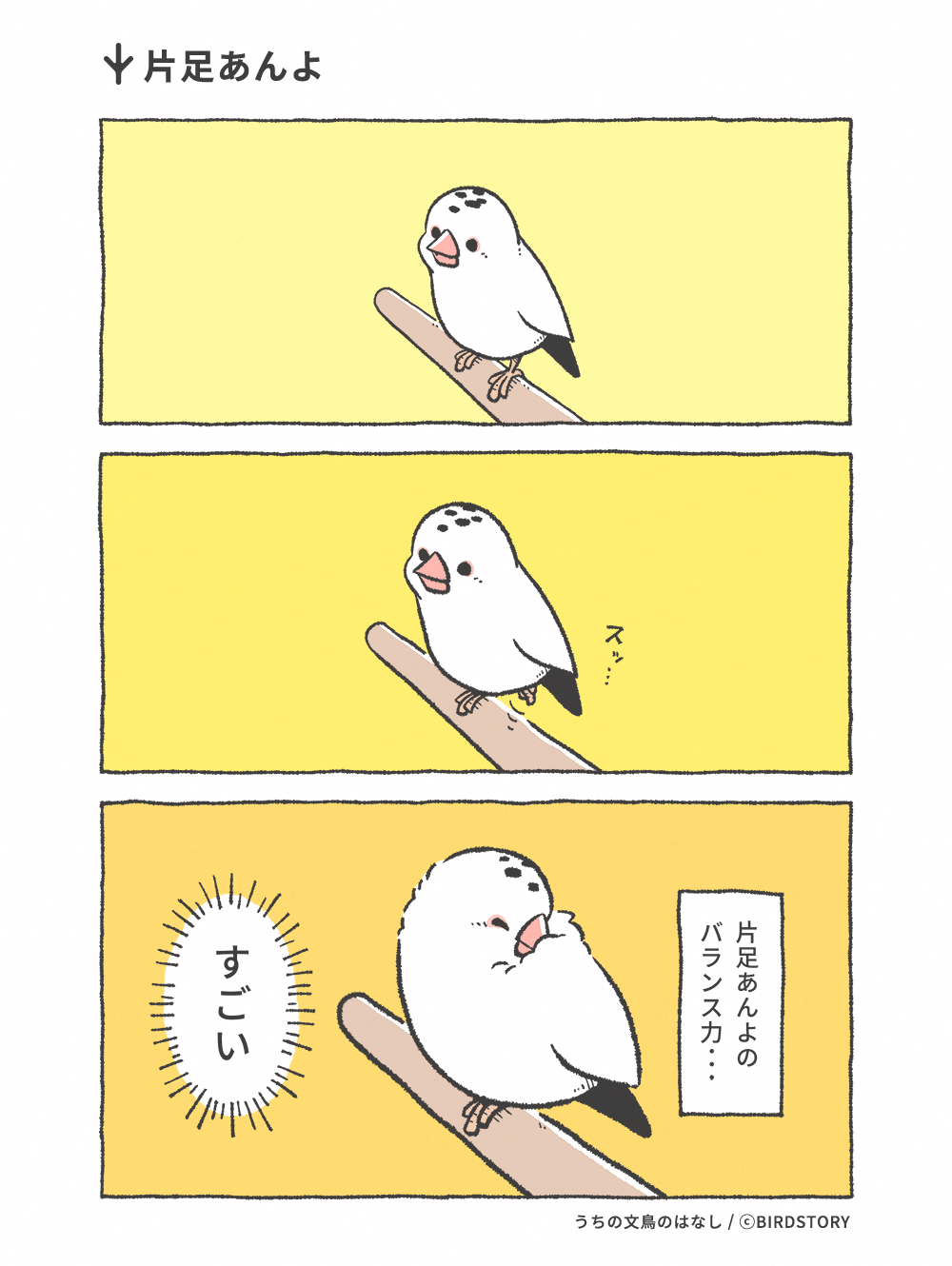 うちの文鳥のはなし 第23羽 片足あんよ