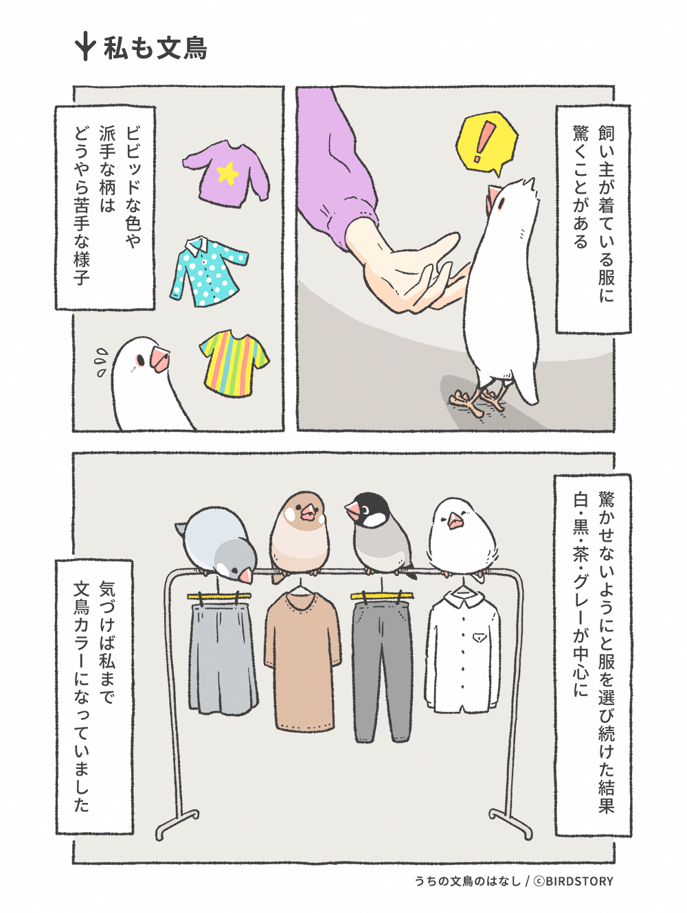 うちの文鳥のはなし 第27羽 私も文鳥