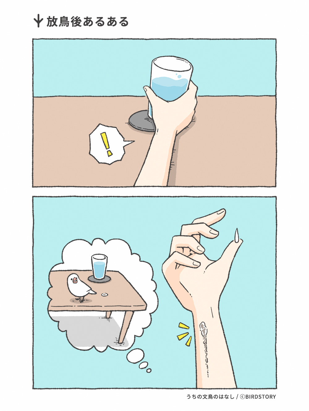 うちの文鳥のはなし 第28羽 放鳥後あるある